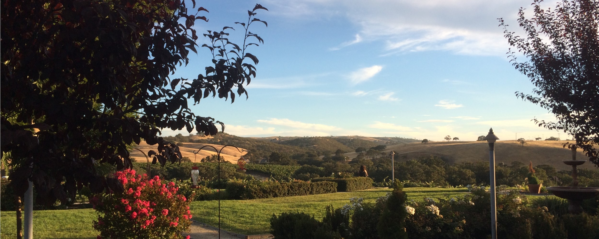Home - Enjoying the View - 2500x1000